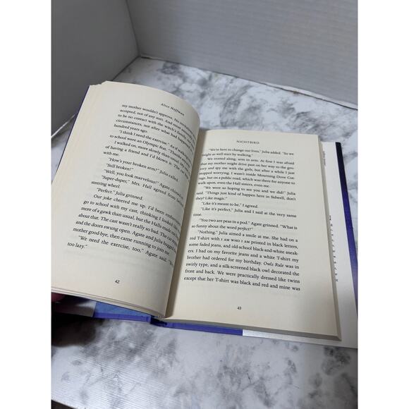 Nightbird: Alice Hoffman Bewitching Hardcover Book 199 Pages Love & Friendship - Picture 10 of 14